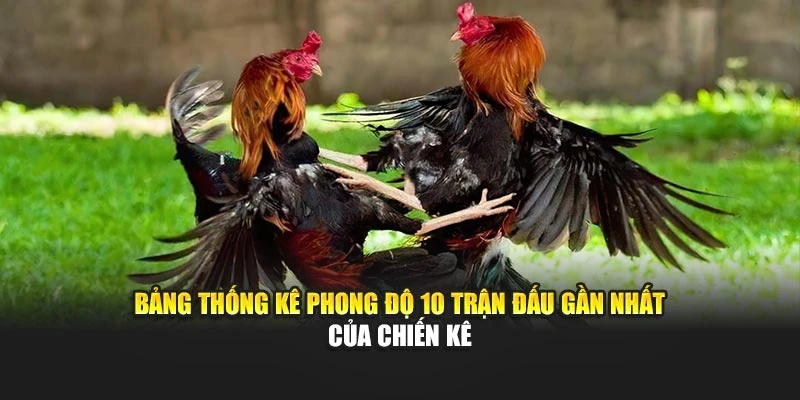 Bảng thống kê phong độ 10 trận đấu gần nhất của chiến kê