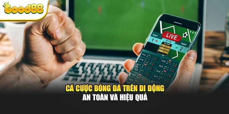 Cá cược bóng đá trên di động an toàn và hiệu quả
