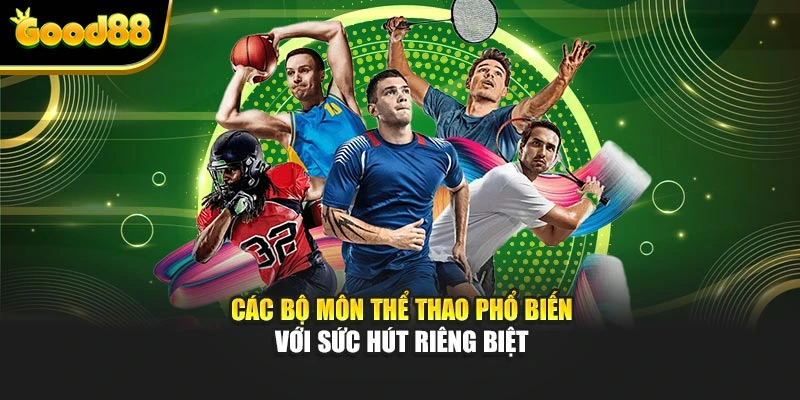 Các bộ môn thể thao phổ biến với sức hút riêng biệt
