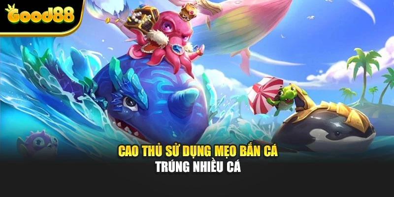 Cao thủ sử dụng mẹo bắn cá trúng nhiều cá