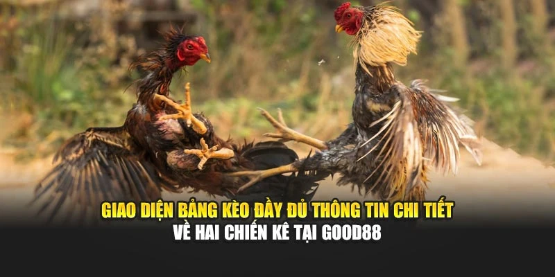 Giao diện bảng kèo đầy đủ thông tin chi tiết về hai chiến kê tại Good88