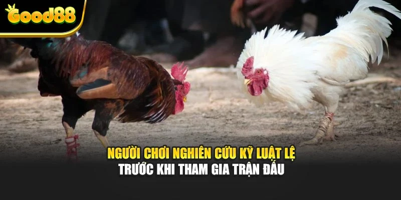 Người chơi nghiên cứu kỹ luật lệ trước khi tham gia trận đấu
