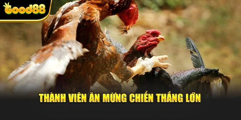 Thành viên ăn mừng chiến thắng lớn