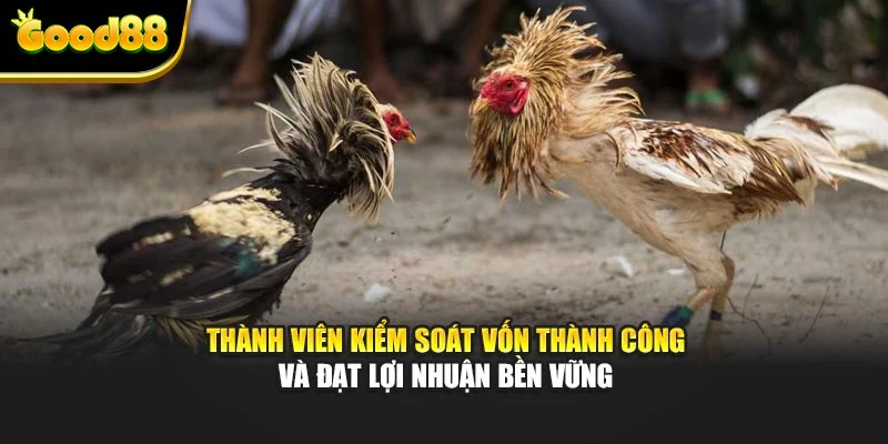 Thành viên kiểm soát vốn thành công và đạt lợi nhuận bền vững